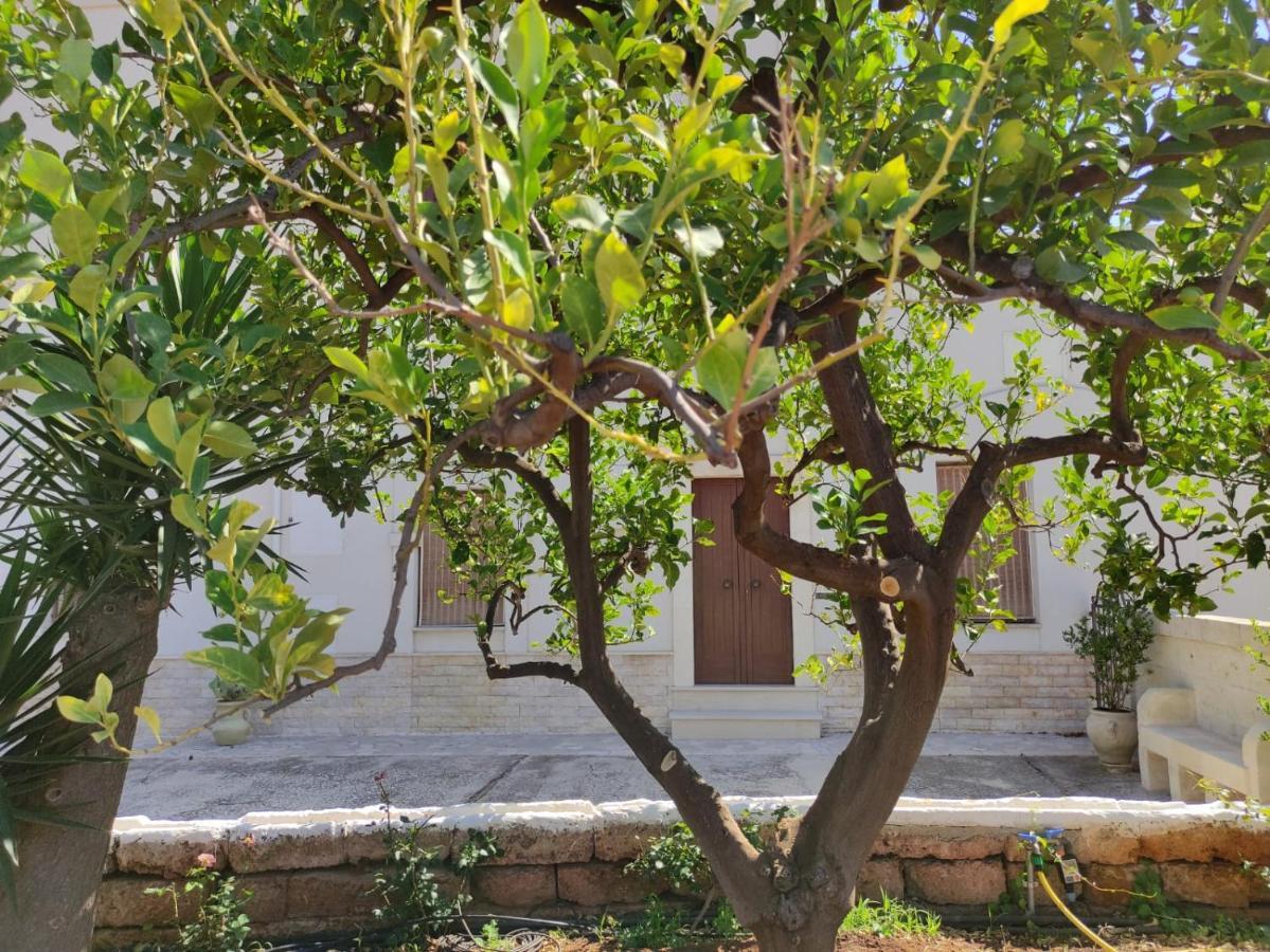 Residenza "I Tre Carrubi " Villa Fasano Exterior photo
